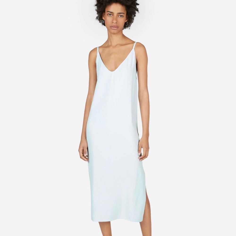 Everlane Japanese GoWeave Slip Dress